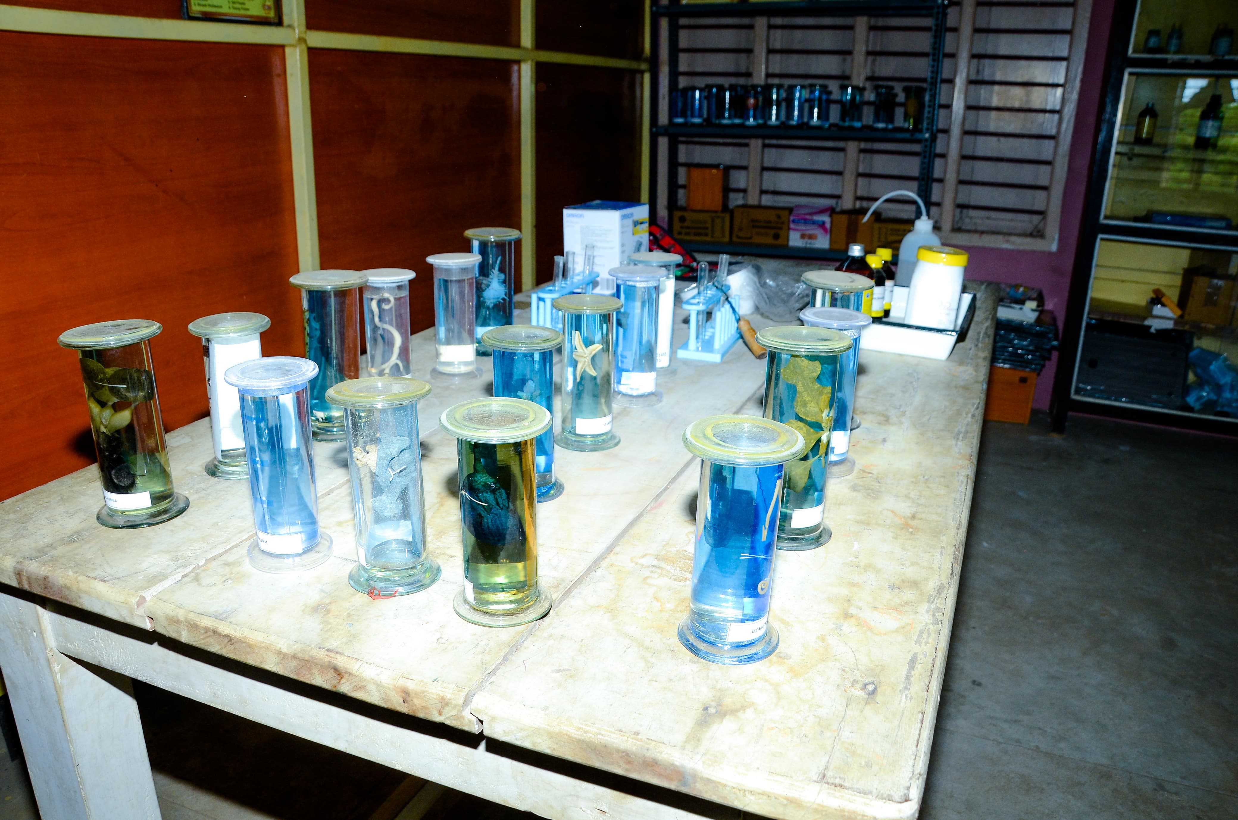 Lab 2